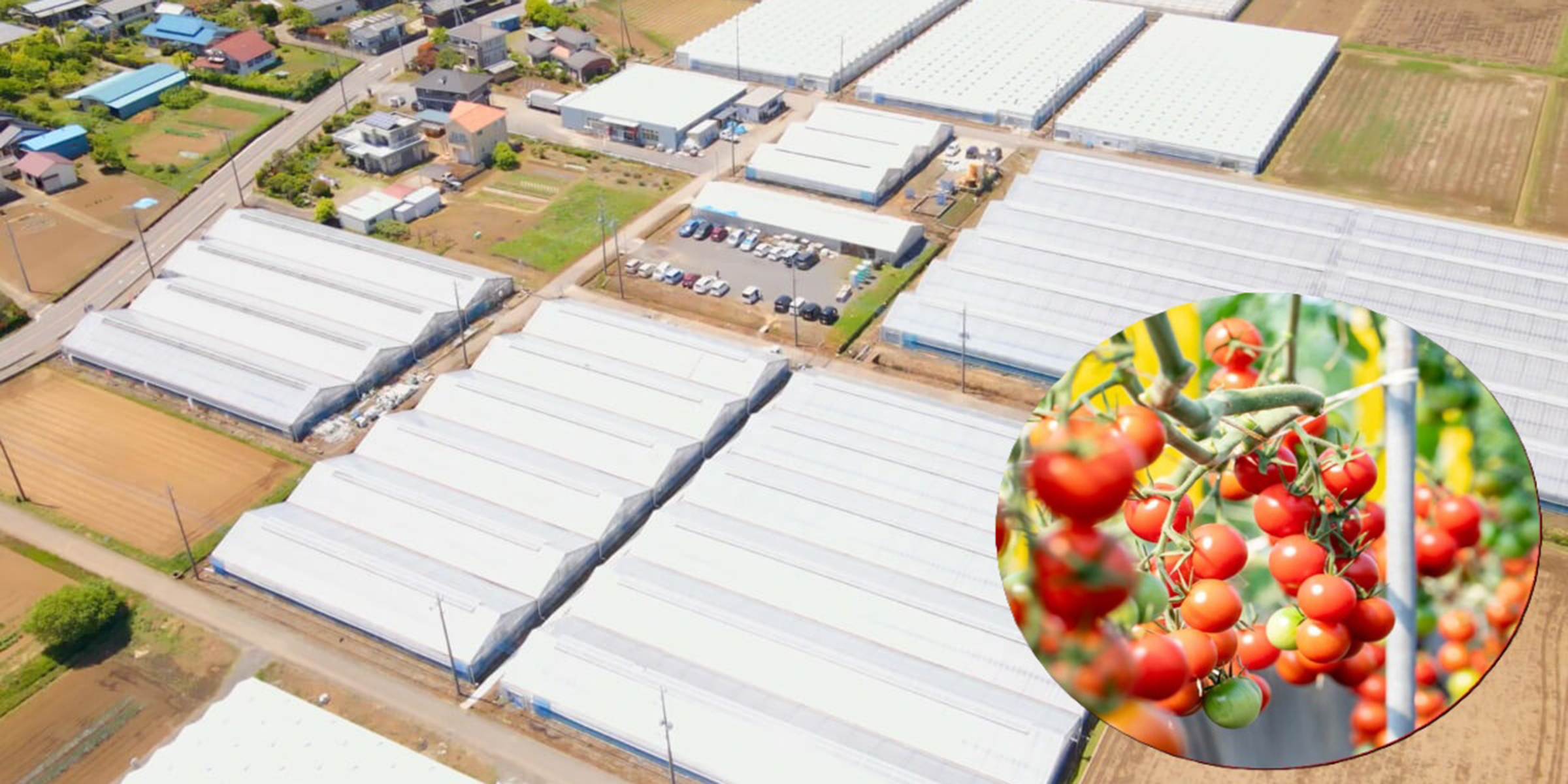 株式会社グリーンファームらぱん